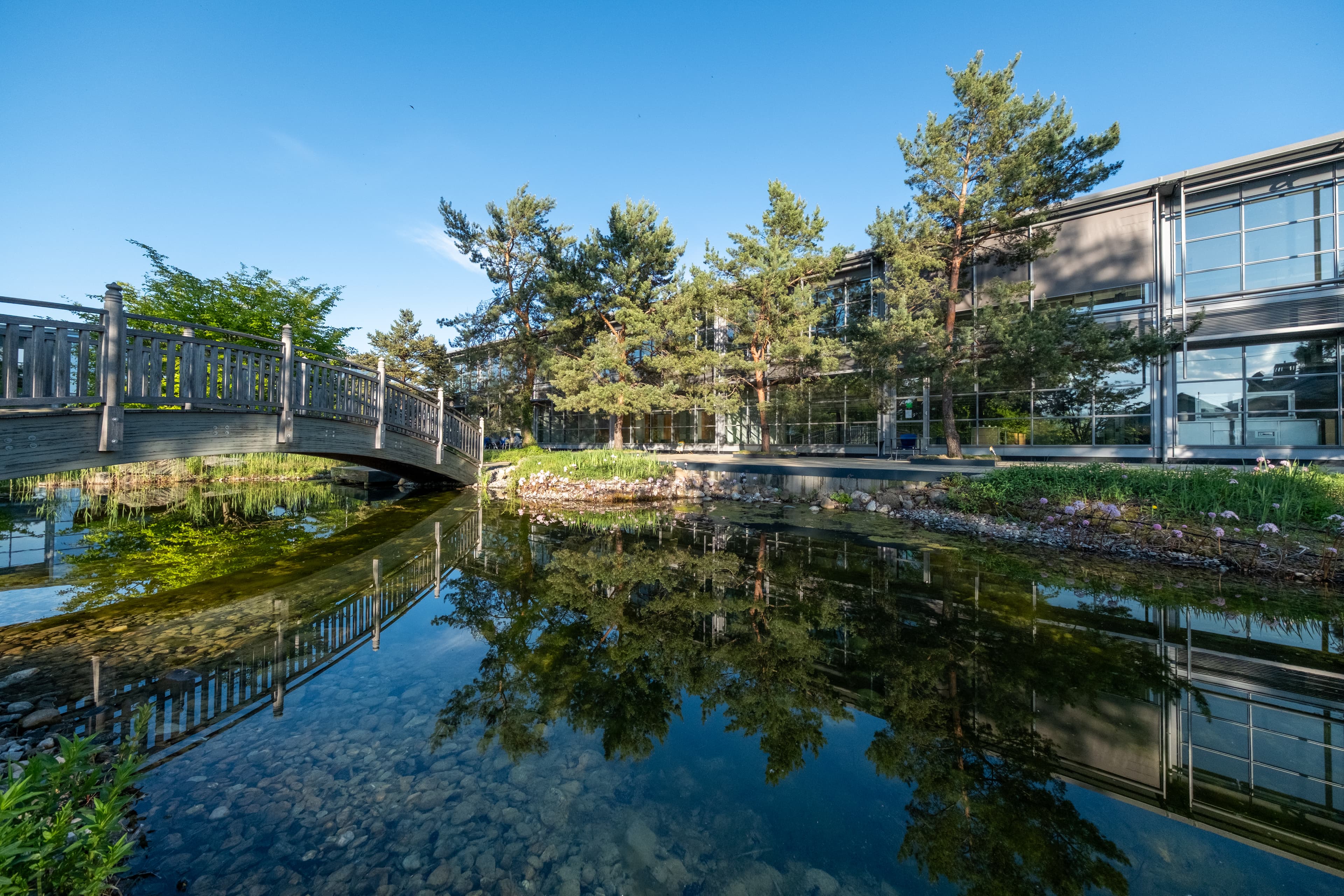Ecrin de verdure